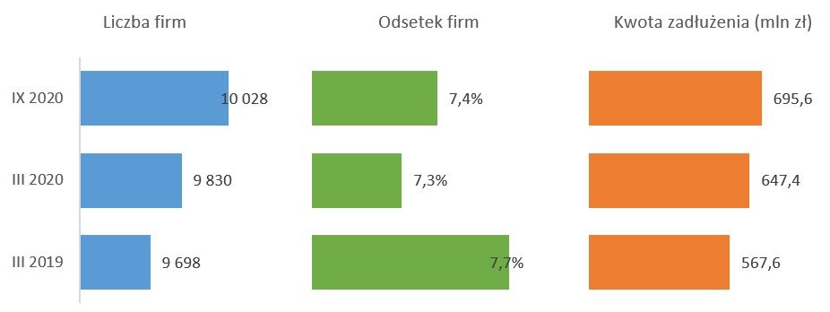 Źródło: BIG InfoMonitor i BIK