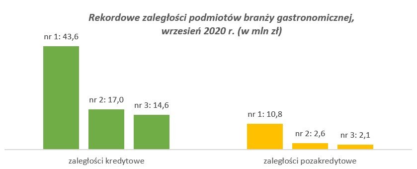 Źródło: BIG InfoMonitor i BIK