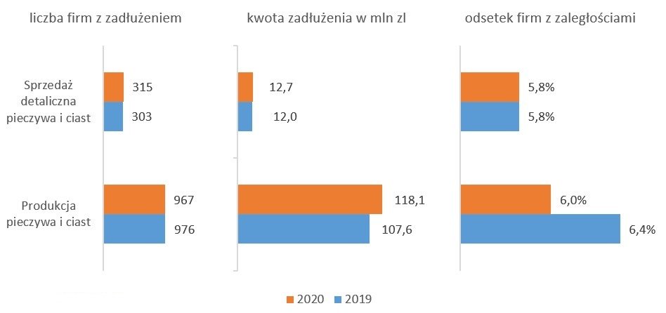 Źródło: Rejestr Dłużników BIG InfoMonitor i BIK