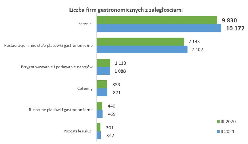Źródło: Rejestr Dłużników BIG InfoMonitor i BIK