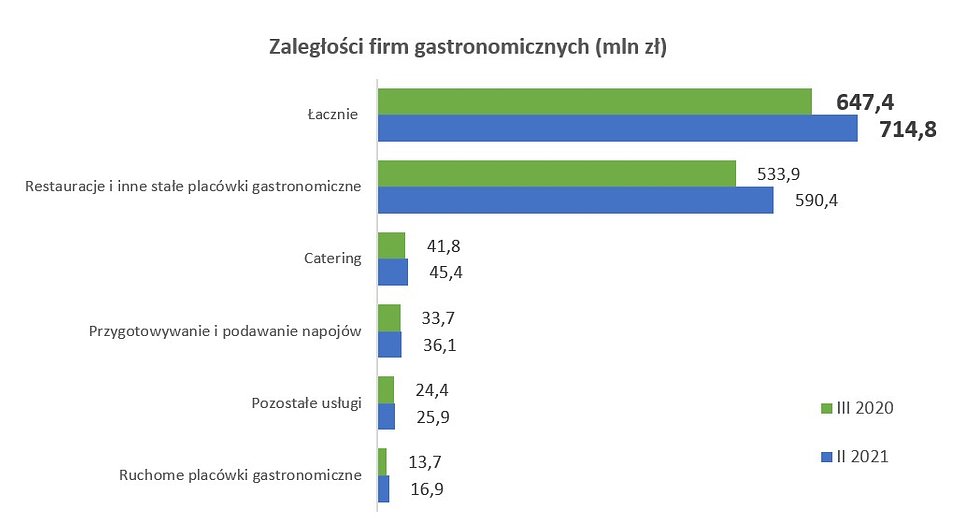 Źródło: Rejestr Dłużników BIG InfoMonitor i BIK