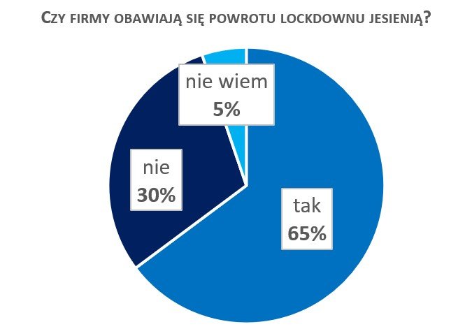 Źródło: badanie Keralla Research dla Rejestru Dłużników BIG InfoMonitor