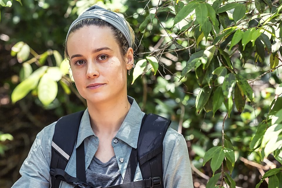 BRIE LARSON.jpg