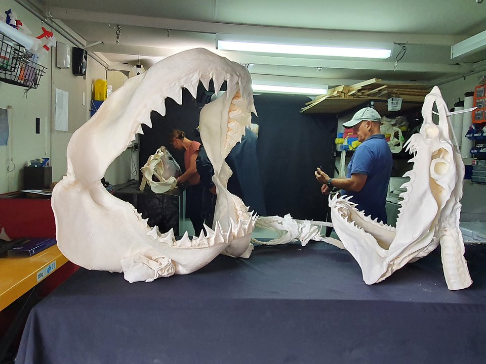 Ep706_DevastationDownUnder_WhenSharksAttack_22.jpg