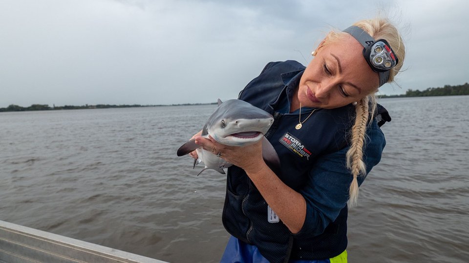 BabySharks_12.JPG