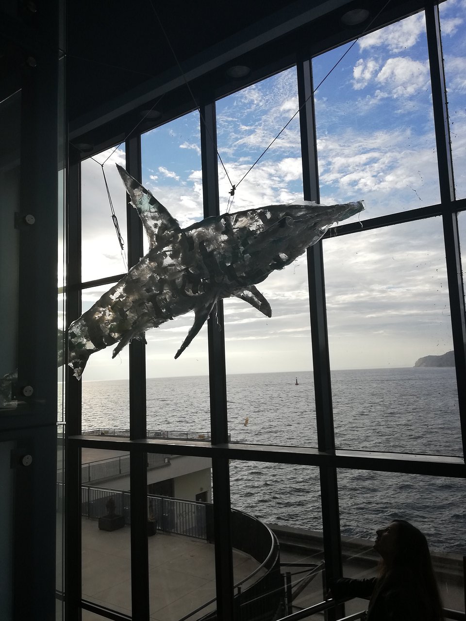 IMG_20181022_085624.jpg