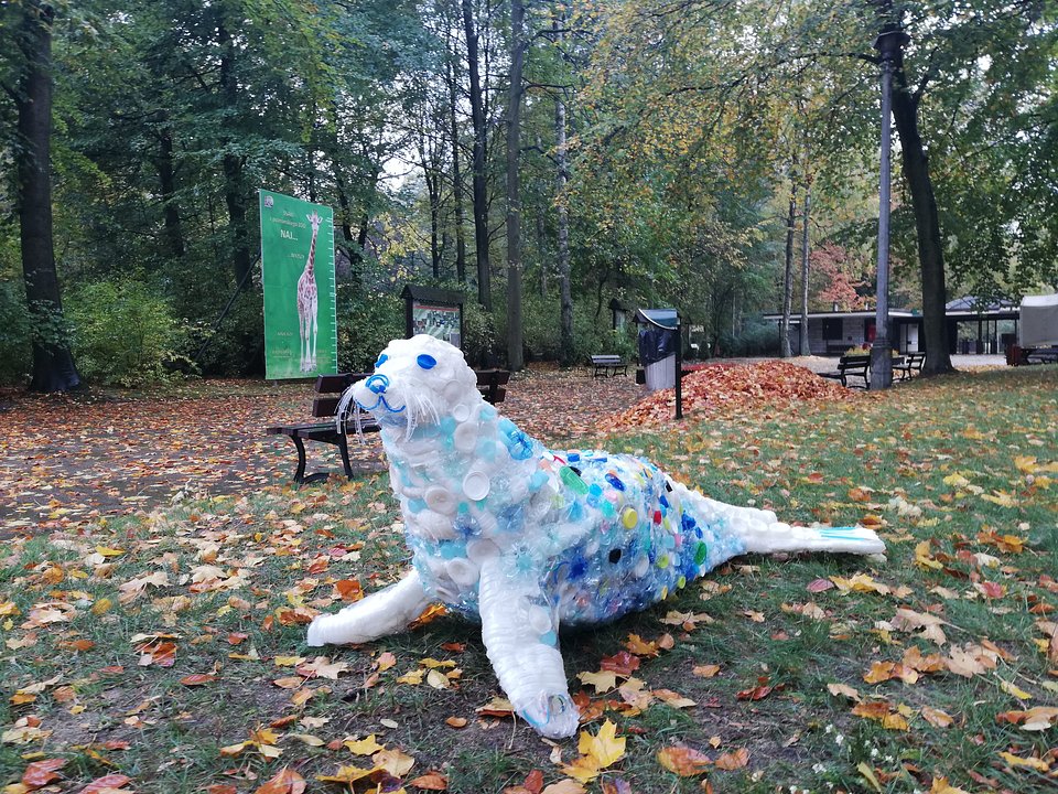 IMG_20181023_121047.jpg
