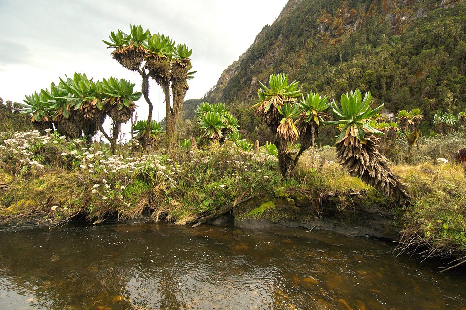 WildUganda_34.jpg