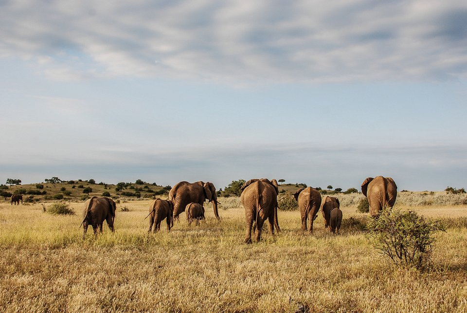 Bushveld_UntamedAfrica_Ep106_01.jpg