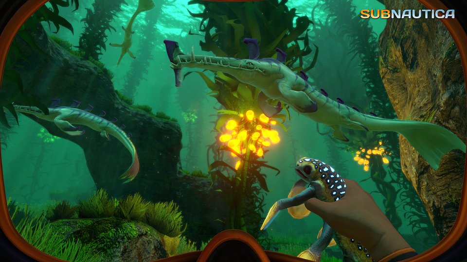 KelpForest.jpg