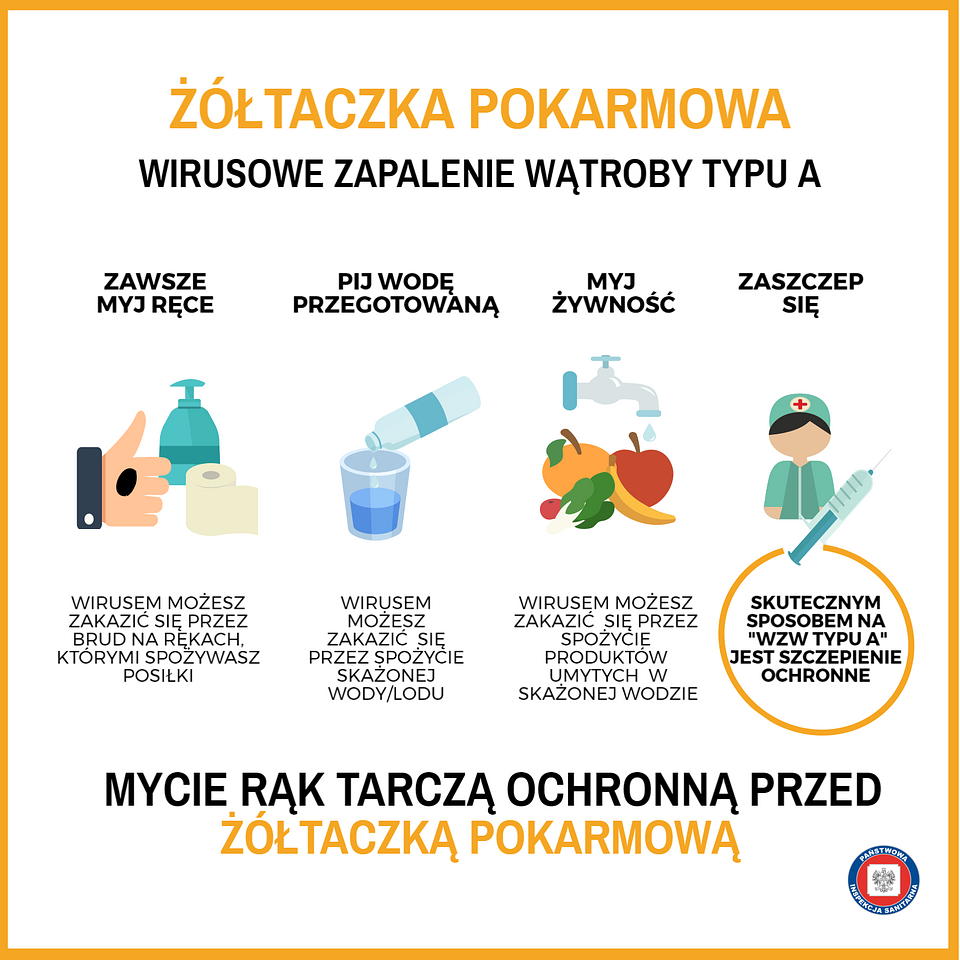 grafika: GIS / Wirusy typu A i E aż w 95 proc. przypadków zakażają drogą pokarmową