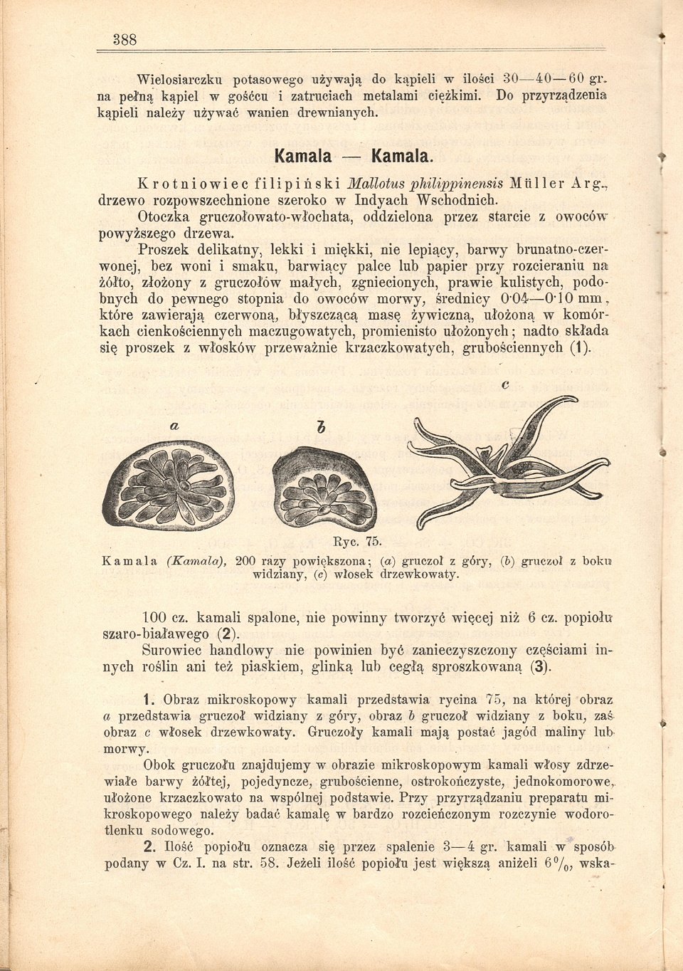 Monografia kamali w ''Komentarzu...'' Ignacego Lembergera. Ze zbiorów autorów