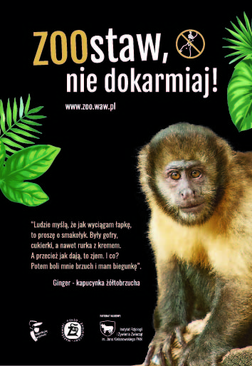 zoo.jpg