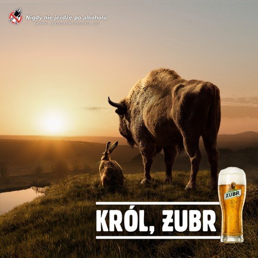 żubr.jpg