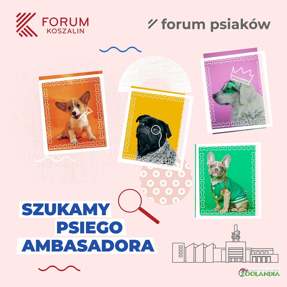 #ForumPsiaków_grafika.png