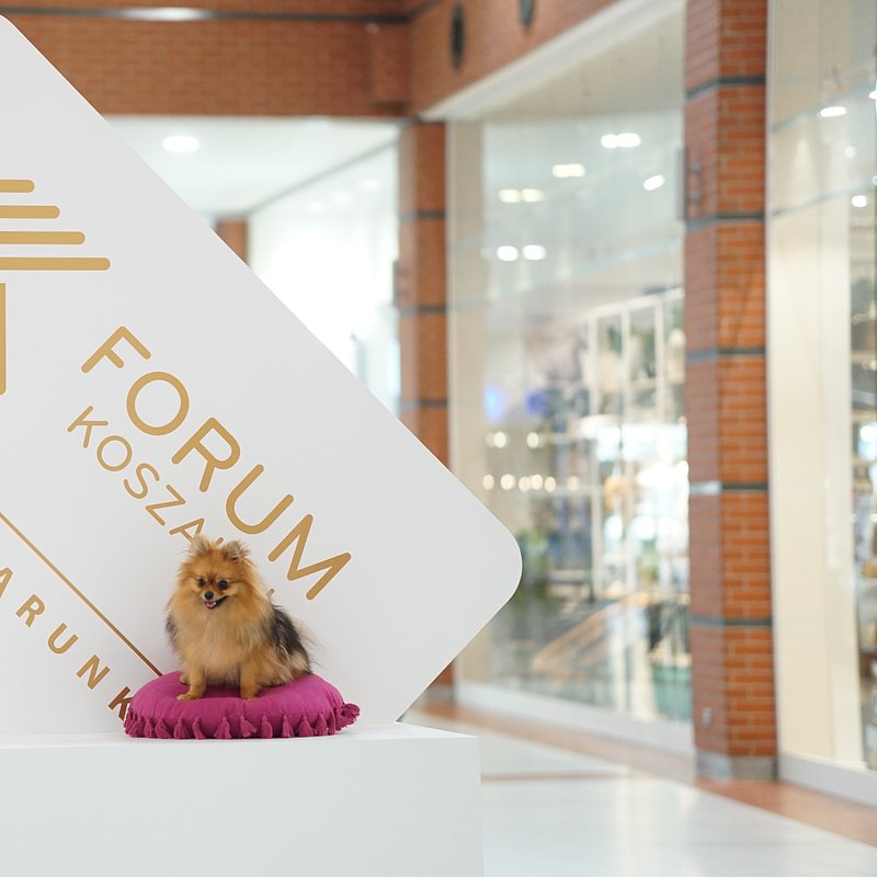 Forum Psiaków (9)_Celinka.JPG