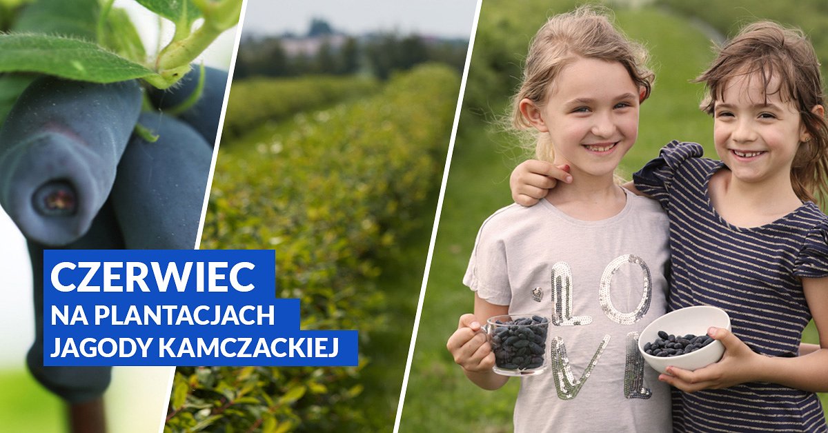 Miasta Suwaki, a take aktywnej modziey z Biaegostoku i Michaowa si nowych rzeczy, doskonali si, pozna niesamowitych ludzi! ACTIVE CITIZENSHIP youth exchange: relacja z wymiany