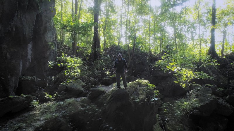 Fuga na Selva.jpg