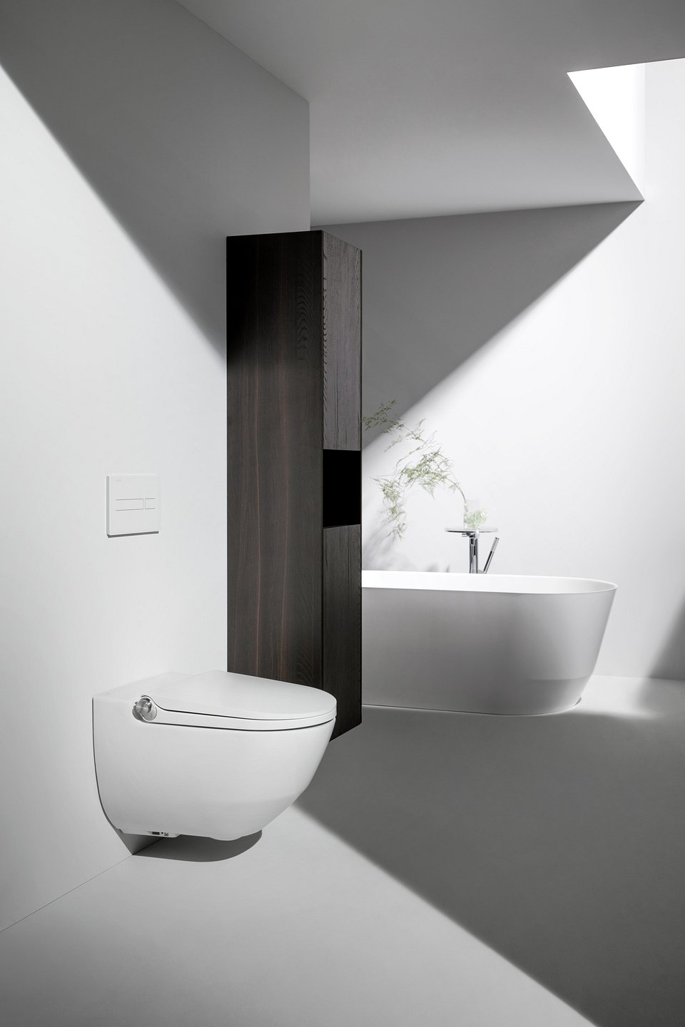 02_Laufen_Cleanet_Riva - Copy.jpg