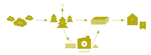 Pfleiderer_sustainable biuliding.PNG