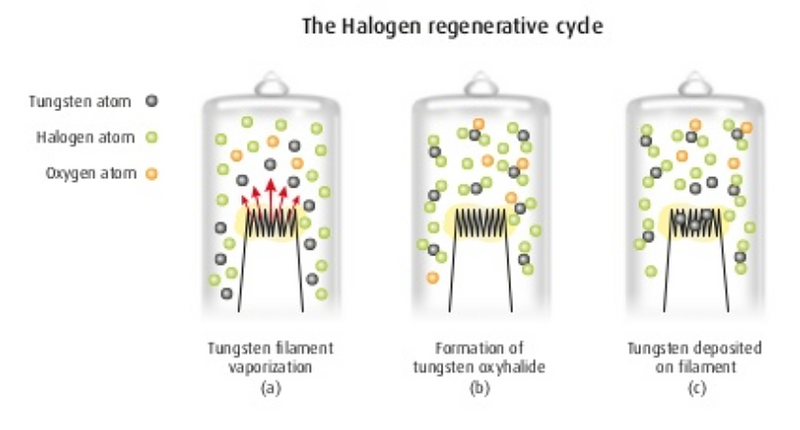 Owing to the reaction the halogen lamps retain their initial properties for the whole lifetime