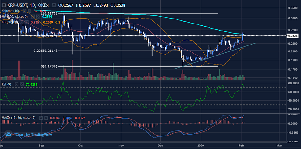 Figure 6: XRPUSDT Daily Chart (Source: OKEx; Tradingview)