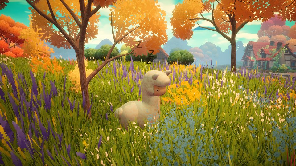 alpaca sleeping.jpg