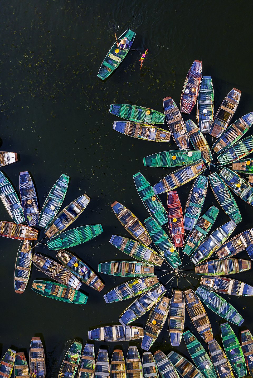 Taken in Vietnam (Khánh Phan/AGORA images)