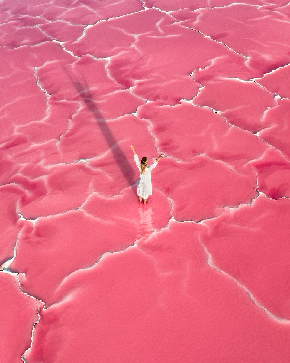Lake Hillier is a natural wonder off the south coast of Western Australia (Boyan Ortse/AGORA images)