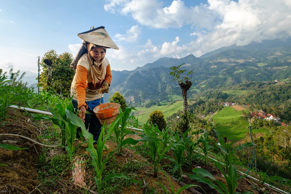 Farmwork at the top of Indonesian hills (Suratman Alimuddin/AGORA images)