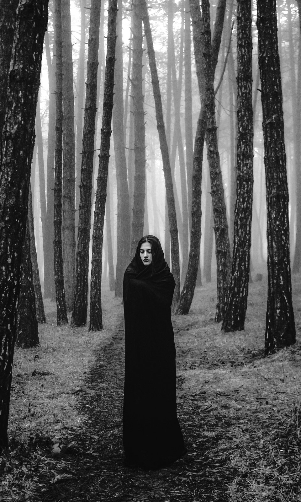 Shot taken in the woods near Kojori on a cold and foggy winter morning (Nika Pailodze/AGORA images)