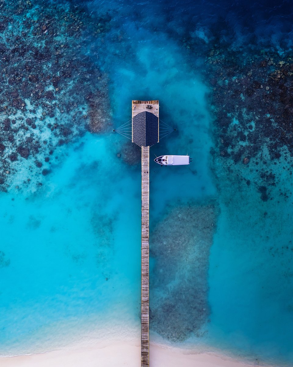 📍Unknown (Roger tan/AGORA images)