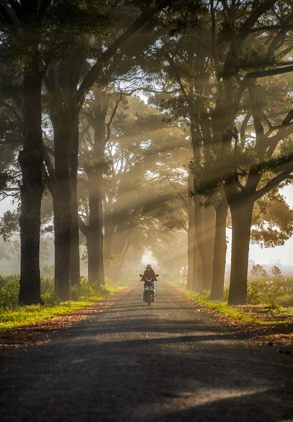 📍Vietnam (Nguyen Quang Thanh/AGORA images)