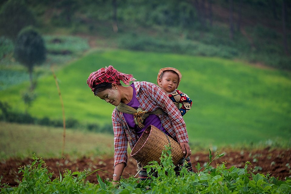 (Aung Tun/AGORA images)