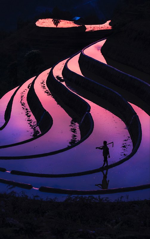 Location: Mu Cang Chai, Vietnam