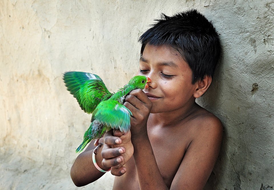 Location: Majhdia, West Bengal, India