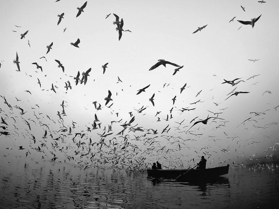 Location: Delhi, India