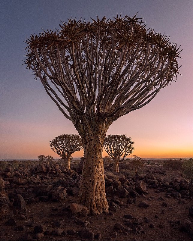 Location: Windhoek Rural, Namibia