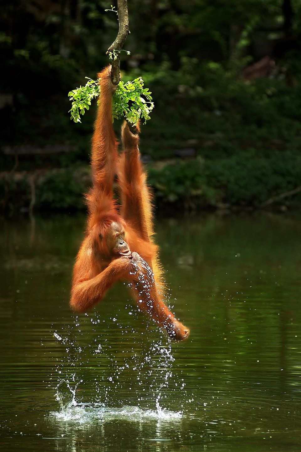 Location: Jurug Park, Indonesia