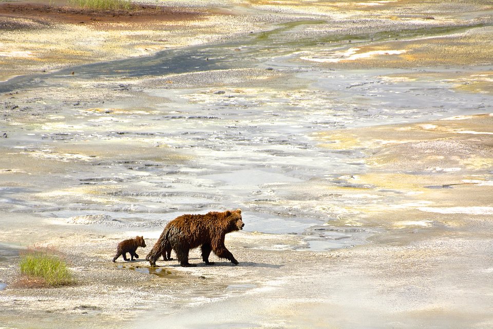 Location: Kamchatka, Russia