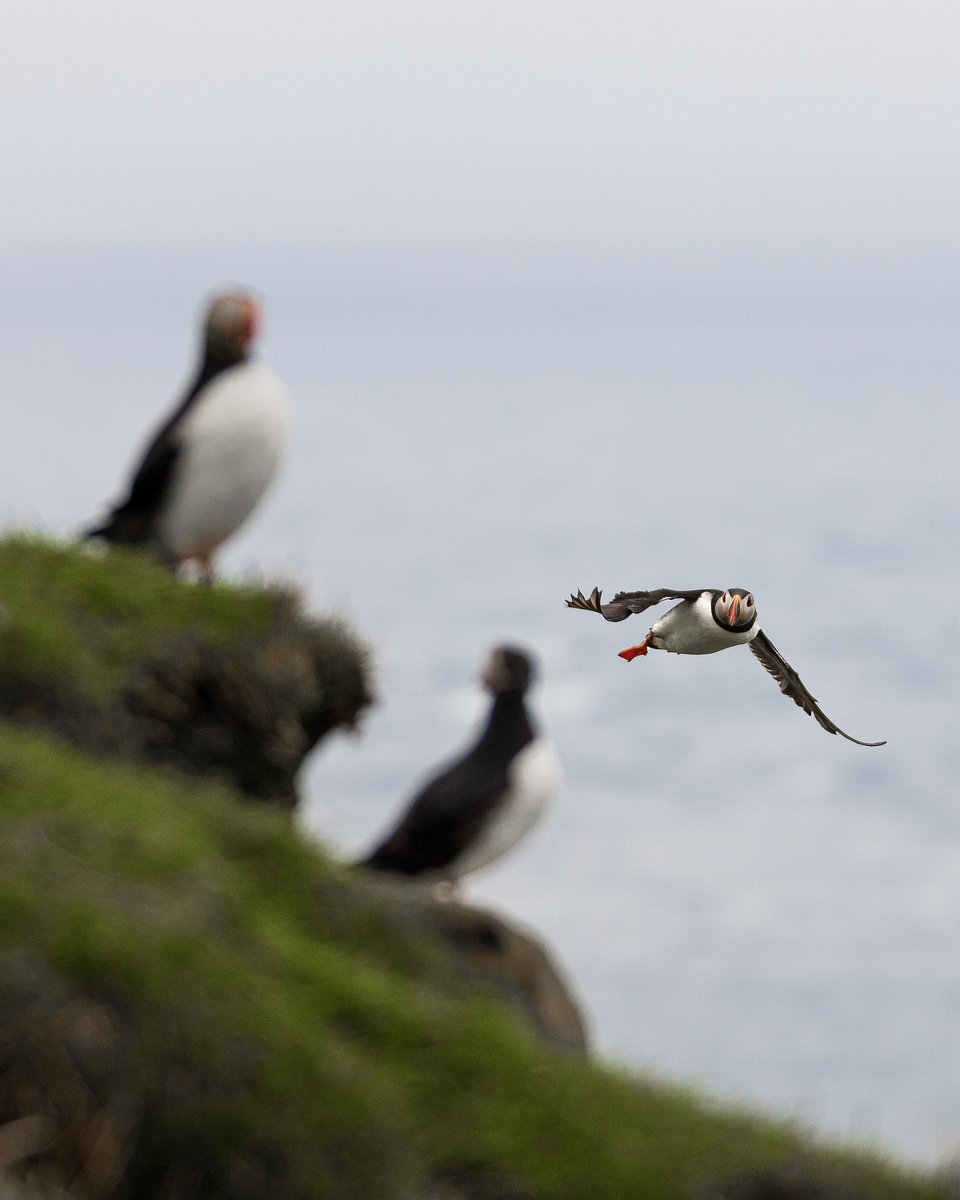 Location: Faroe Islands