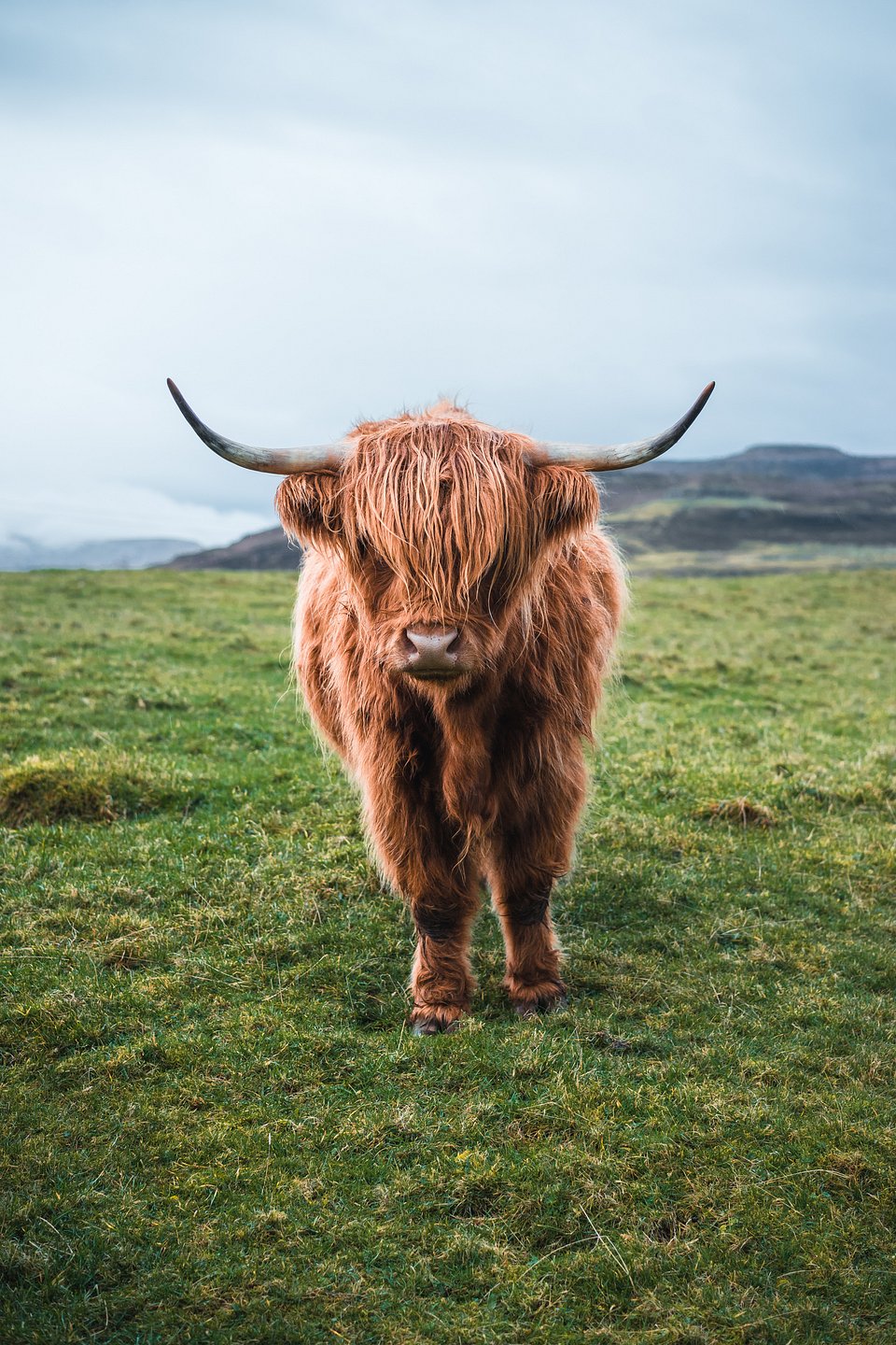 Location: Isle of Skye, Scotland, UK