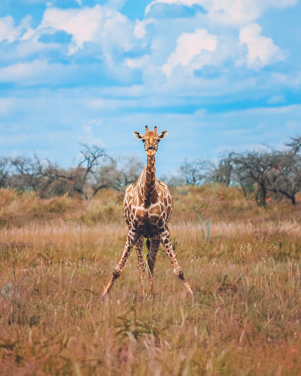 Location: Botswana