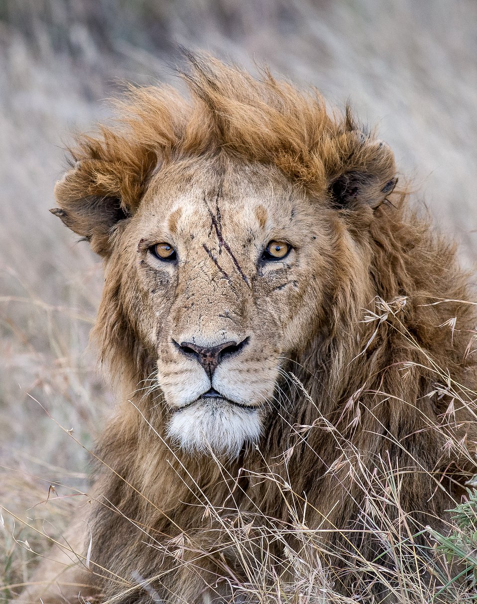 Location: Kenya
