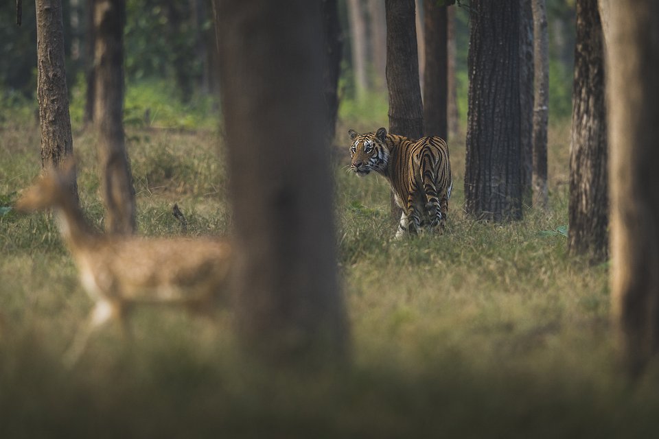 Location: Seoni, India