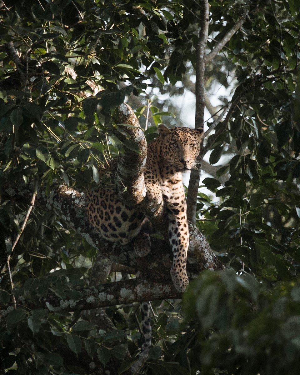 Location: Kabini, India