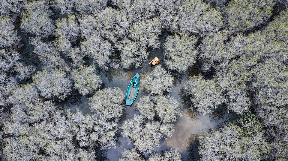Location: Quảng Ngãi, Vietnam