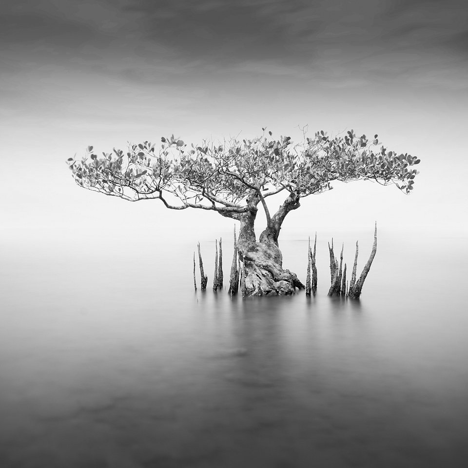 Location: Malaysia