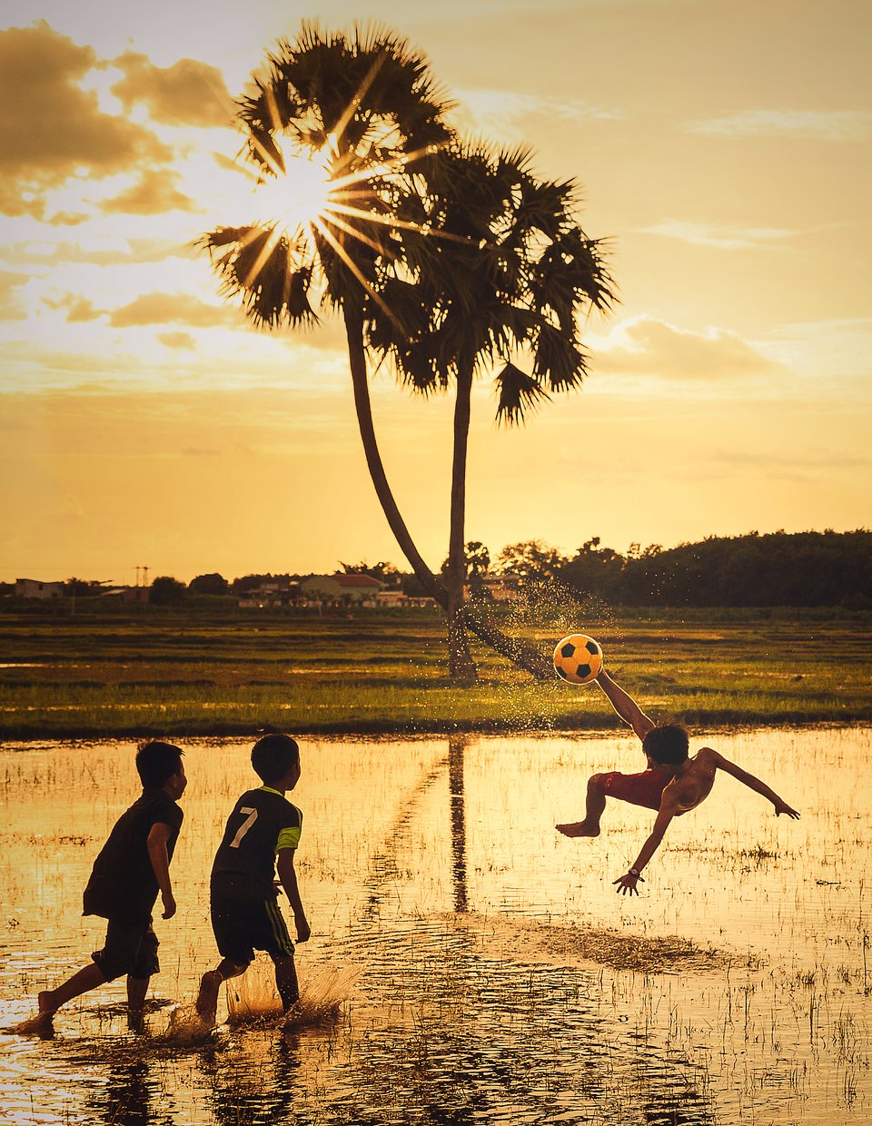 Location: Khedol, Tay Ninh, Vietnam