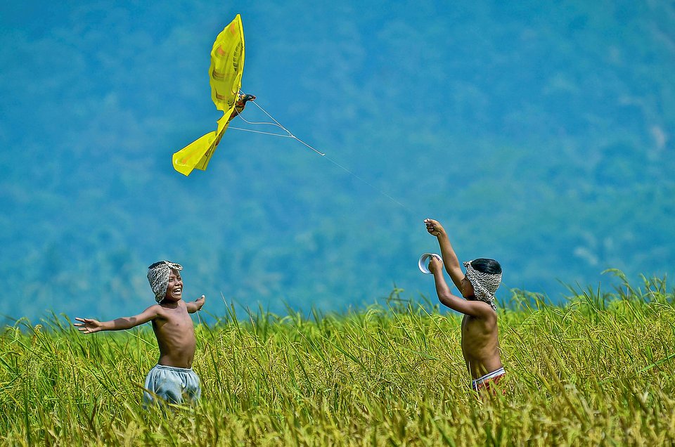 Location: Bogor Jawa barat, Indonesia
